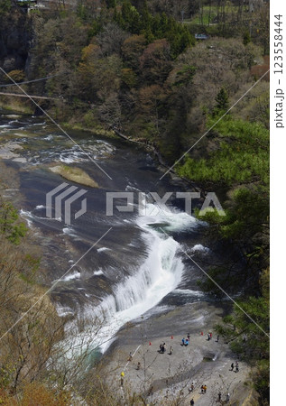 春の吹割の滝 123558444