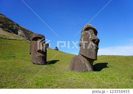 イースター島のラノ・ララクのモアイ　Moai of Rano Raraku 123558455