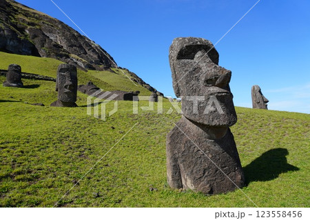 イースター島のラノ・ララクのモアイ　Moai of Rano Raraku 123558456
