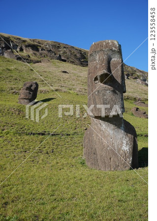 イースター島のラノ・ララクのモアイ　Moai of Rano Raraku 123558458