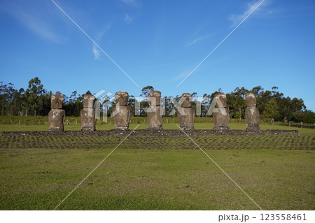 イースター島のアフ・アキビのモアイ　Moai of Ahu Akivi  123558461