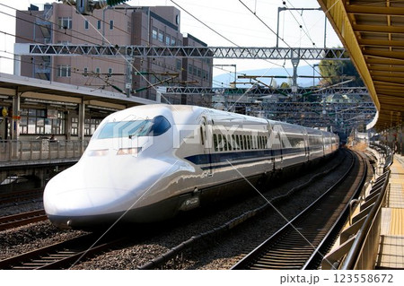 愛くるしい御顔のカモノハシ… 東海道新幹線・700系 123558672