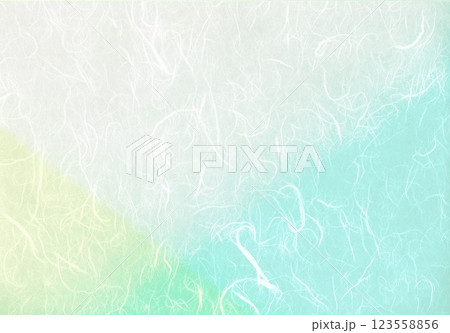 和紙のペイント 123558856