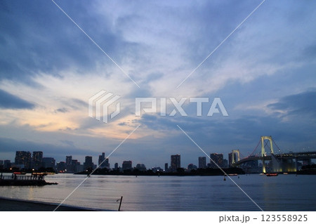 お台場の公園から見たレインボーブリッジの風景 123558925