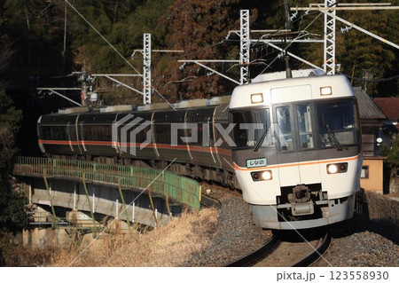 【JR東海】383系 特急「しなの」（中央本線：落合川〜中津川） 123558930