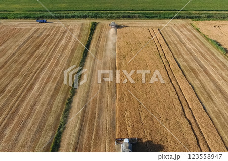 Combine harvester harvest barley Combine harvester harvest barley 123558947