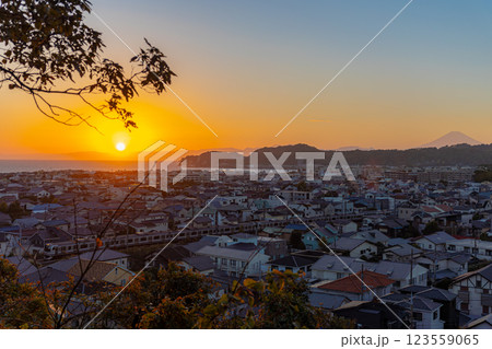 夕焼けの富士を望むE217系 123559065