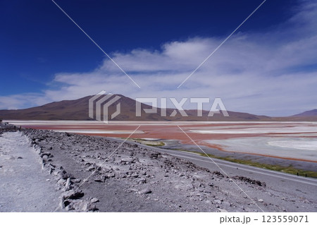 ボリビアのラグナ・コロラダの12月の幻想的な風景 123559071