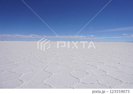 12月のボリビアのウユニ塩湖の白い平原 Uyuni Salt Flats in December 123559073