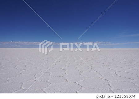 12月のボリビアのウユニ塩湖の白い平原 Uyuni Salt Flats in December 12月のボリビアのウユニ塩湖の白い平原 Uyuni Salt Flats in December 123559074