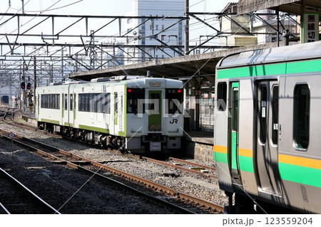 八高線・キハ110系 八高線・キハ110系 123559204