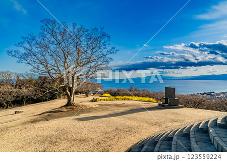 吾妻山公園山頂からの景色 吾妻山公園山頂からの景色 123559224