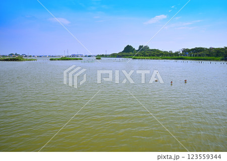 初夏　水量たっぷりの伊佐沼　7月湖畔の風景　　 123559344
