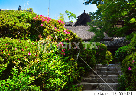 京都市左京区 ひっそりと佇む詩仙堂 123559371