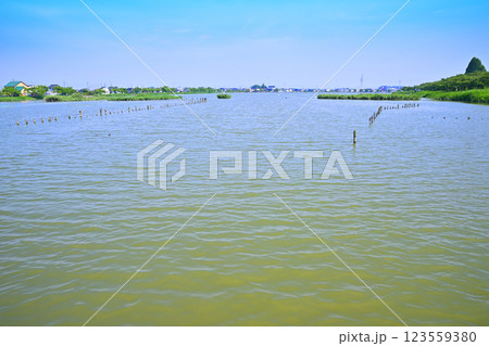 初夏　水量たっぷりの伊佐沼　7月湖畔の風景　　 123559380