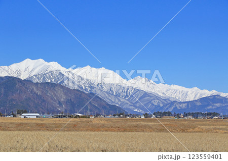 山麓から望む早春の北アルプス後立山連峰 山麓から望む早春の北アルプス後立山連峰 123559401