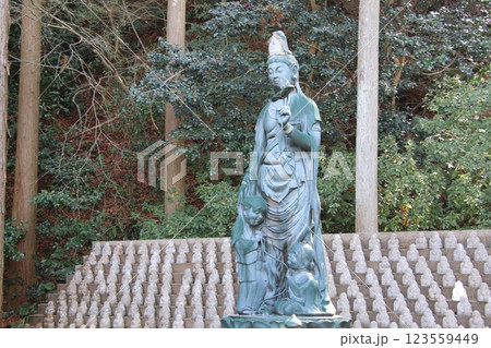 宗像市の鎮国寺のいきいき観音 123559449