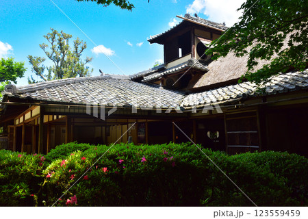 京都市左京区 ひっそりと佇む詩仙堂 123559459