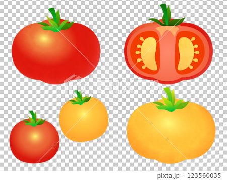 Red and yellow tomatoes illustration 123560035