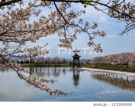 春爛漫の弥生の楼閣 123560089