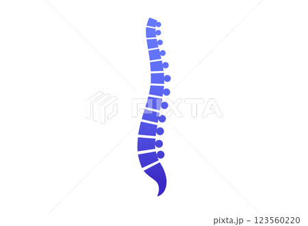 Spine medical poster Spine medical poster 123560220