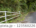 荒れた道路端のガードレール 123560226
