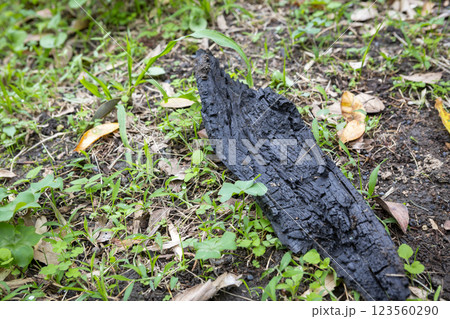 地面に落ちた木炭 123560290