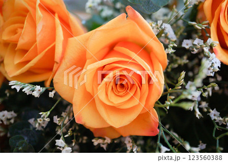 Flower Bouquet of Orange Rose(オレンジ色のバラの花束) Flower Bouquet of Orange Rose(オレンジ色のバラの花束) 123560388