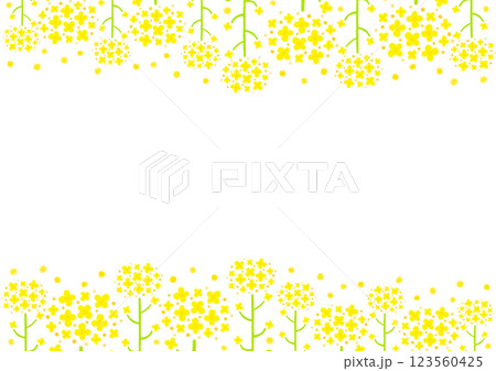 水彩で描いた菜の花の背景フレームイラスト 123560425