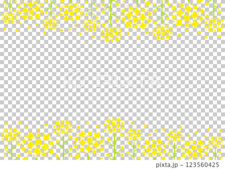 水彩で描いた菜の花の背景フレームイラスト 123560425