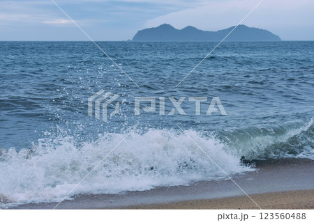 春一番の風が吹いてしける海岸 123560488