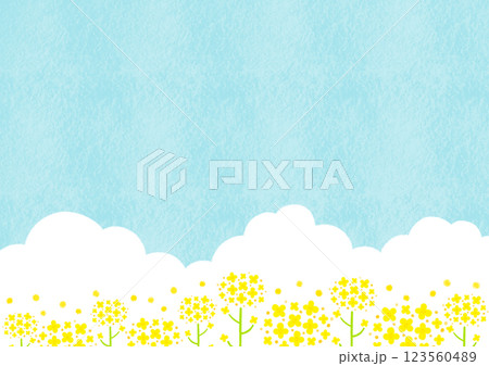 水彩で描いた青空と菜の花と入道雲 123560489