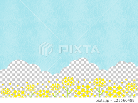水彩で描いた青空と菜の花と入道雲 123560489
