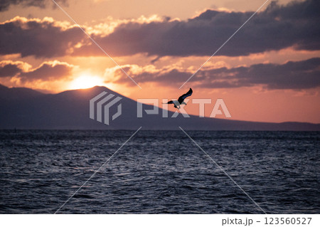 知床の夜明け 123560527