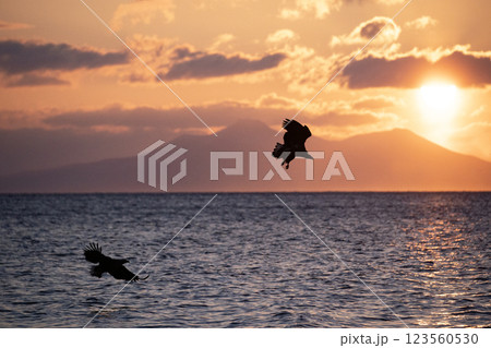 知床の夜明け 123560530