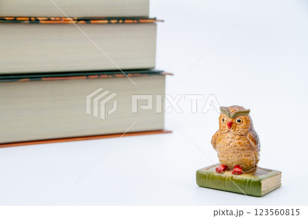 読書のイメージ 123560815
