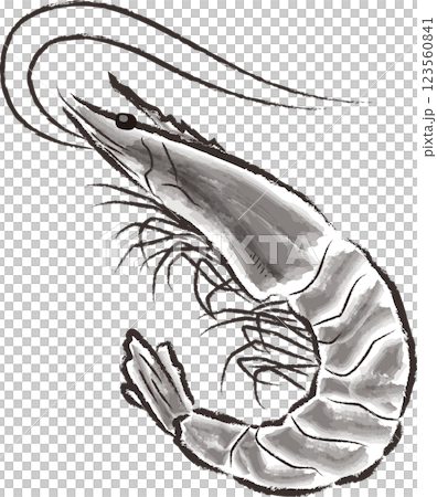 海老のイラスト 墨絵風 海老のイラスト 墨絵風 123560841