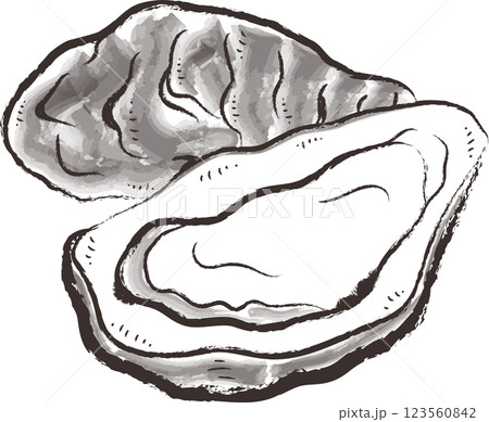 牡蠣のイラスト 墨絵風 牡蠣のイラスト 墨絵風 123560842