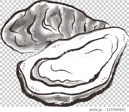 牡蠣のイラスト 墨絵風 牡蠣のイラスト 墨絵風 123560842