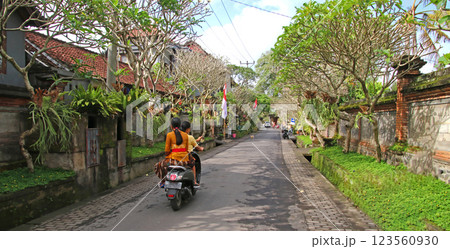 バリ島のローカル風景 123560930