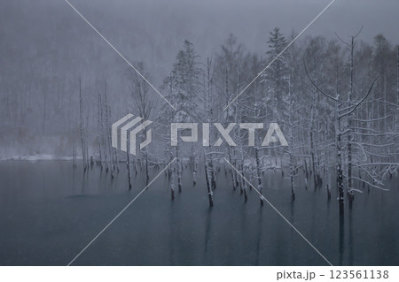 雪景色の青い池 雪景色の青い池 123561138