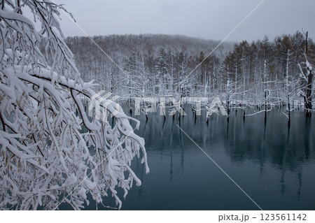 雪景色の青い池 雪景色の青い池 123561142