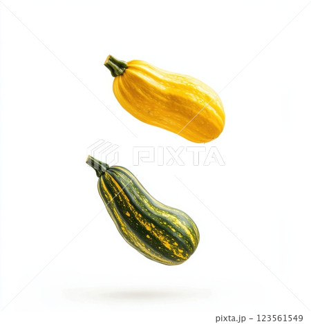Fresh Squash Falling on White Background Isolated and Natural 123561549