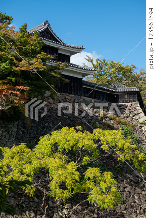松江城 松江城 123561594