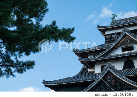 松江城 123561595