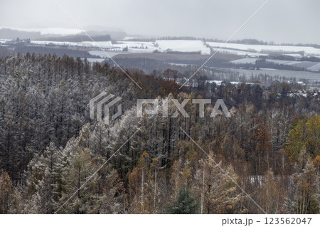 初雪の美瑛の丘 123562047