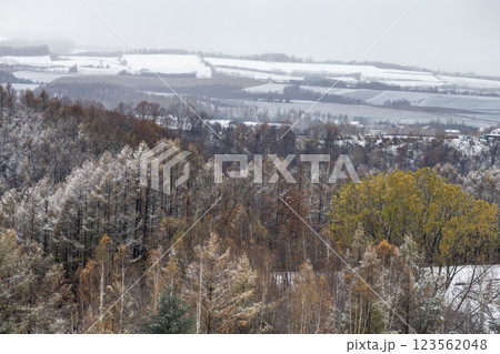 初雪の美瑛の丘 123562048