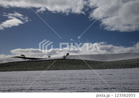 初雪の美瑛の丘 123562055