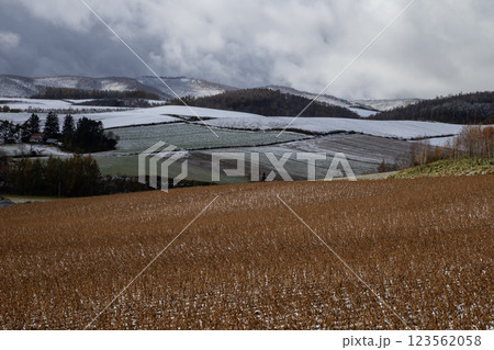 初雪の美瑛の丘 123562058