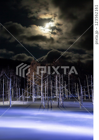 ライトアップの青い池 123562161